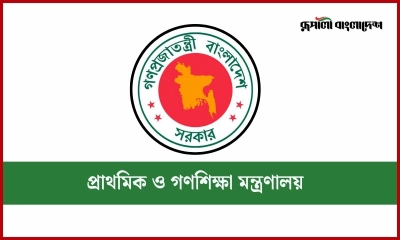 প্রাথমিক ও গণশিক্ষা মন্ত্রণালয়ে ২০ পদে চাকরি