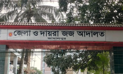 জামালপুরে একই মামলায় স্বামী-স্ত্রীর কারাদণ্ড