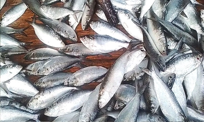 ছবি: রূপালী বাংলাদেশ