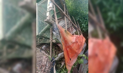 কাপ্তাইয়ের চিৎমরমে বন্য হাতির তাণ্ডব, আতঙ্কে এলাকাবাসী