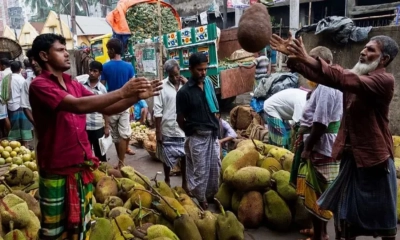 বাংলাদেশ থেকে যে কারণে কাঁঠাল নিতে চায় চীন