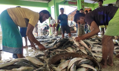 কৌশলে কোটি কোটি  টাকার রাজস্ব ফাঁকি