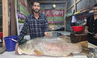 ২১ কেজির কোরাল  ৩৫ হাজারে বিক্রি