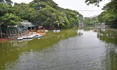ধানমন্ডি লেকে ভাসছিল যুবকের মরদেহ