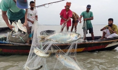 মা ইলিশ রক্ষায় ১৭ যুদ্ধজাহাজ মোতায়েন