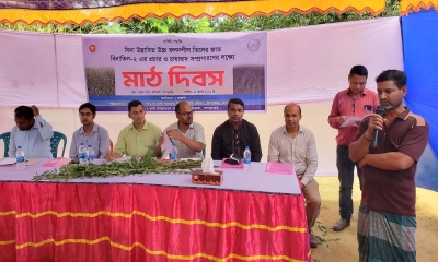 মাটিরাঙ্গায় বিনাতিল-২ এর প্রচার ও চাষাবাদ সম্প্রসারণে মাঠ দিবস