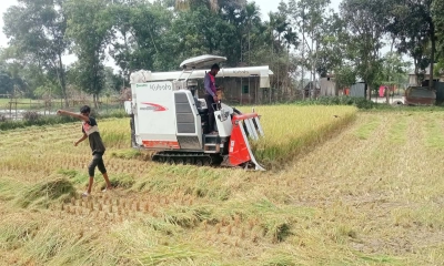 মাধবপুরে সরকার নির্ধারিত মূল্যে হারভেস্টার মেশিনের সুবিধা পাচ্ছেন না কৃষকরা