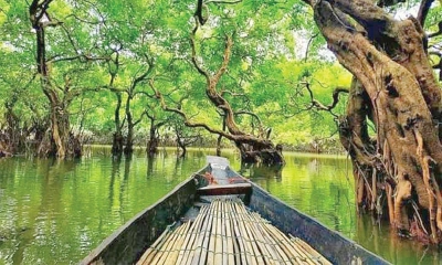 জল, জঙ্গল সবুজের স্বপ্নপুরী