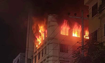 মিরপুরে বহুতল ভবনে আগুন