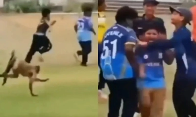 খেলার মাঠে বানরের তাণ্ডবে আহত দুই