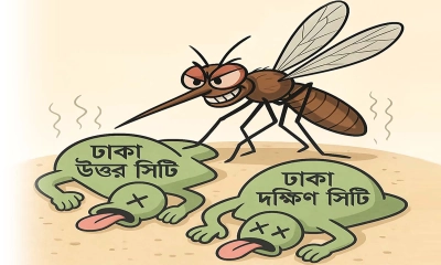মশায় পরাজিত ঢাকার দুই সিটি, ৫ বছরে ব্যয় ৪০০ কোটি