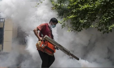 মশা নিধন ও সুস্থ থাকার পূর্ণাঙ্গ গাইড
