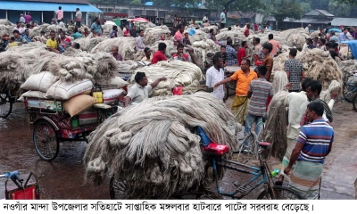 পাটের দামে খুশি নওগাঁর চাষিরা