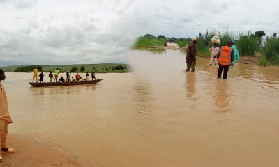 অর্ধশত যাত্রী নিয়ে ডুবে গেল নৌকা