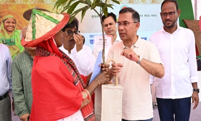 আম-জাম যখন ধরবে আমাকে পাঠাবেন, আমি খাব : প্রধানমন্ত্রী