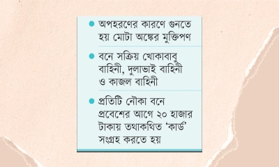 সুন্দরবনে দস্যুতা বাড়ায় আতঙ্কে জেলেরা 