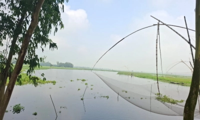 ছবি- রূপালী বাংলাদেশ