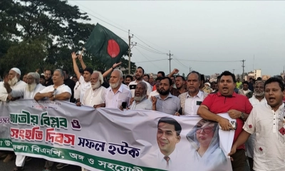 জাতীয় বিপ্লব ও সংহতি দিবস উপলক্ষে কাপাসিয়ায় বিএনপির শোভাযাত্রা-সমাবেশ