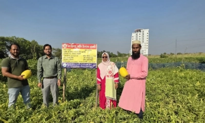 অসময়ে তরমুজ চাষে নতুন সম্ভাবনা
