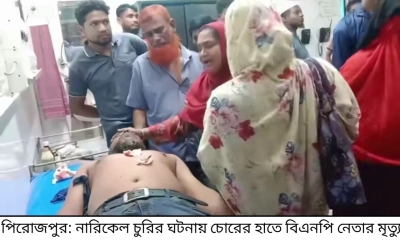 চোরের হাতে বিএনপি  নেতার মৃত্যু