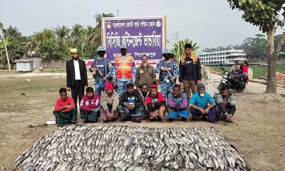 কোস্টগার্ডের অভিযানে ৪৯১টি হাঙর জব্দ 