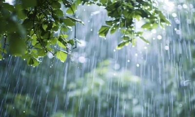 দেশের আট বিভাগে বৃষ্টির আভাস