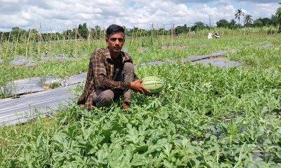মো. মুস্তাকিম সরকার। ছবি- রূপালী বাংলাদেশ