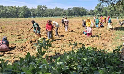 আ.লীগ নেতার কাছ থেকে জমি উদ্ধার, ১০ হাজার বৃক্ষ রোপণ
