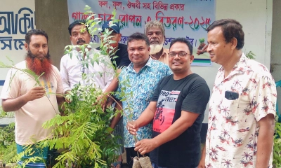 নাটোরের মাদ্রাসা ও বিদ্যালয় প্রাঙ্গণে চারা রোপণ করা হয়। ছবি- রূপালী বাংলাদেশ