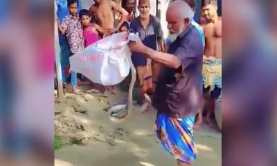 নিহত সাপুড়ে বয়েজ উদ্দিন।  ছবি- রূপালী বাংলাদেশ