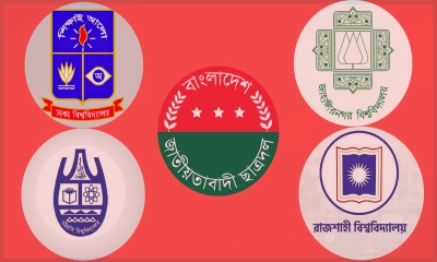 ডাকসু-জাকসু-চাকসু-রাকসুতে ছাত্রদলের কেন এই ভরাডুবি