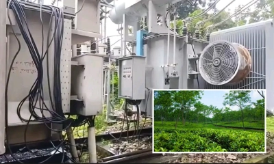 মধবপুরে বিদ্যুৎ বিপর্যয়, চা বাগানে উৎপাদন ব্যাহত