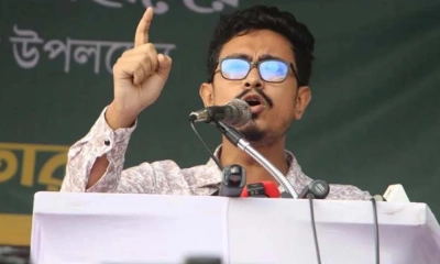 ‘স্ক্রিনশট ফাঁস হলে এনসিপি-বাগছাসের বড় অংশ সংকটে পড়ে যাবে’