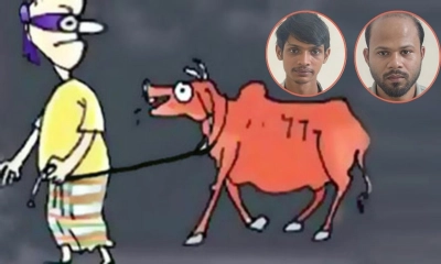 বড় ভাইয়ের গরু চুরি করে পালানোর সময় ছোট ভাই আটক