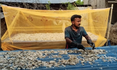 মাছের আঁশ বিক্রি করে সফল হতে চান ইমরান