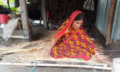 বিলুপ্তির পথে মাদুর শিল্প, হাল ছাড়েননি শিল্পীরা
