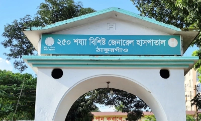 ঠাকুরগাঁওয়ে দুই সপ্তাহে মৃত্যু ৫, হাসপাতালে অ্যান্টিভেনম সংকট