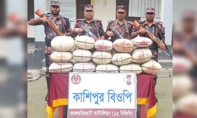 কুড়িগ্রামে বিজিবির অভিযানে বিপুল পরিমাণ গাঁজা জব্দ