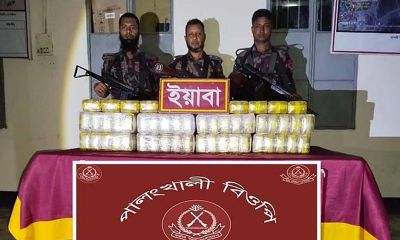 বিজিবির অভিযানে ৪ লাখ ৮০ হাজার ইয়াবা জব্দ, আটক হয়নি কেউ। ছবি- সংগৃহীত