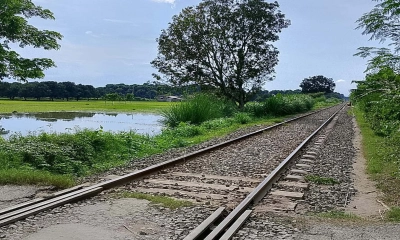 চারঘাট রেললাইন। ছবি- রূপালী বাংলাদেশ।