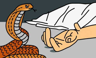 ফুলবাড়ীতে সাপের কামড়ে তিন গৃহবধূর মৃত্যু