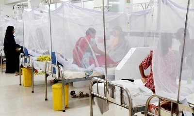 ডেঙ্গুতে আরও ১২ জনের মৃত্যু, নতুন ভর্তি ৭৪০