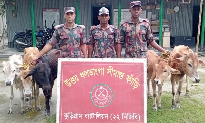 কুড়িগ্রামে ১ কোটি ৭১ লাখ টাকার ভারতীয় পণ্য জব্দ, আটক ৫