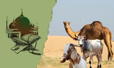 কোরবানির মাংস কত দিন রাখা যায়