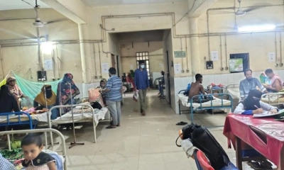রাজবাড়ীতে হঠাৎ ডেঙ্গু আতঙ্ক