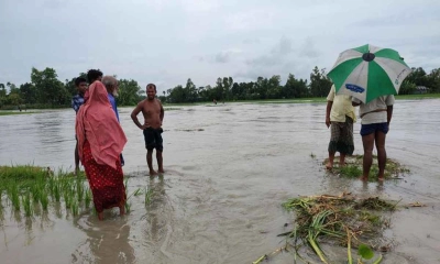 বিপৎসীমার ওপরে তিস্তার পানি উত্তরের বিস্তীর্ণ এলাকা প্লাবিত