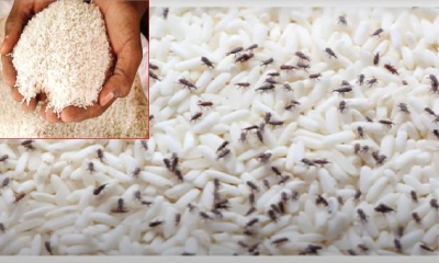 ছবি- সংগৃহীত