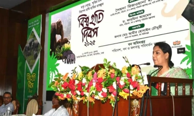 হাতির জন্য সংরক্ষণ করতে হবে প্রাকৃতিক আবাসস্থল: রিজওয়ানা