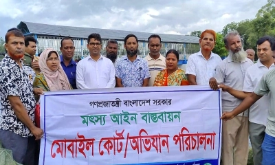 ঠাকুরগাঁওয়ে পোনা রক্ষায় ৪ লাখ টাকার অবৈধ জাল জব্দ