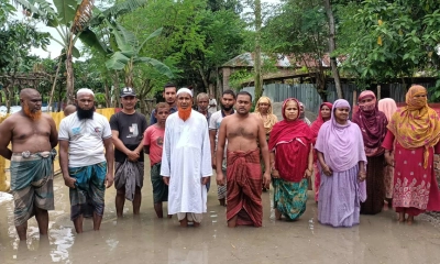 শিবগঞ্জে হাজার মানুষ পানিবন্দি, জনজীবন চরম দুর্ভোগে